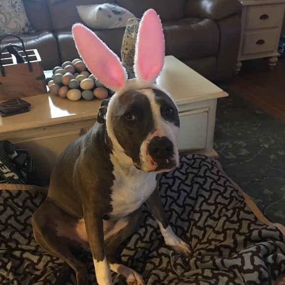 Meet your Posher, Janet - Picture 2 of 3